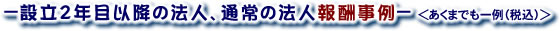 設立2年目以降の法人、通常の法人報酬事例（料金）